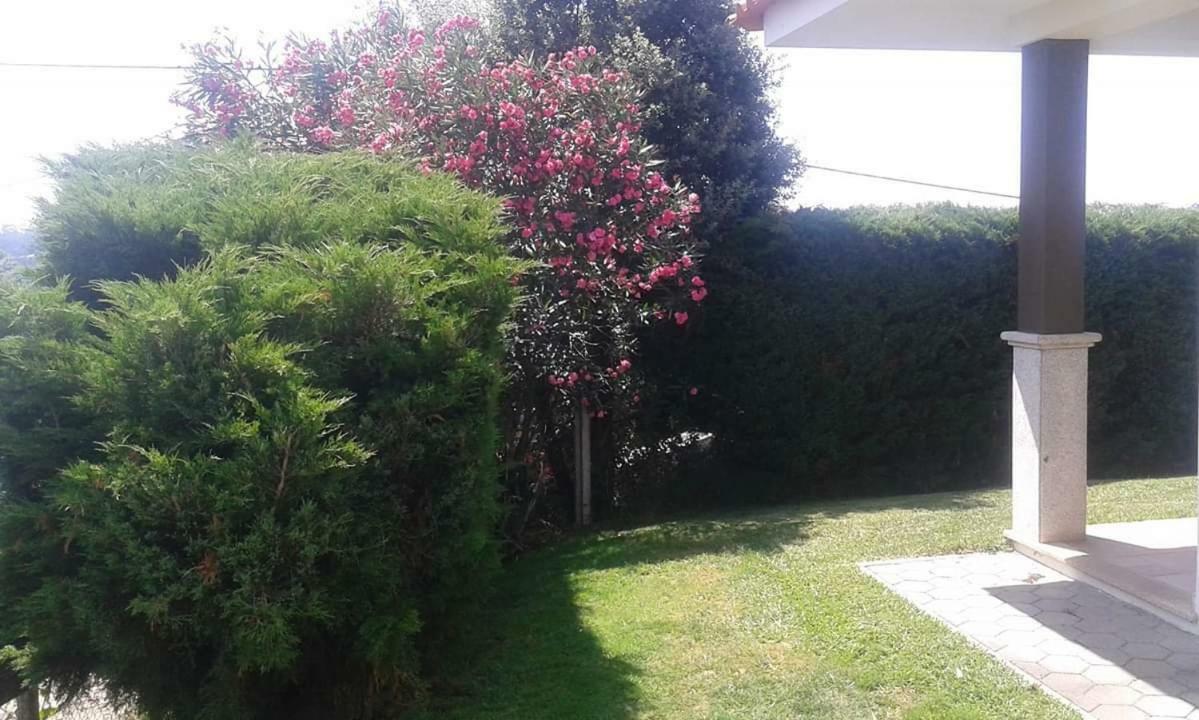 Terreno Das Mimosas Apartamento Aveiro Exterior foto